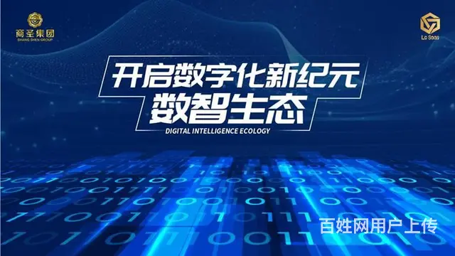 数字革命的先锋——LC SaaS，助力企业翱翔云端 - 图片 2