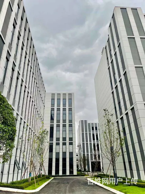 成都近城南优质工业园区，全新现房 - 图片 7