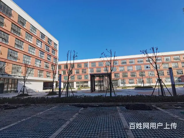 标准化厂房出租，单层3000平可分割，共4层有电梯，有消防 - 图片 2