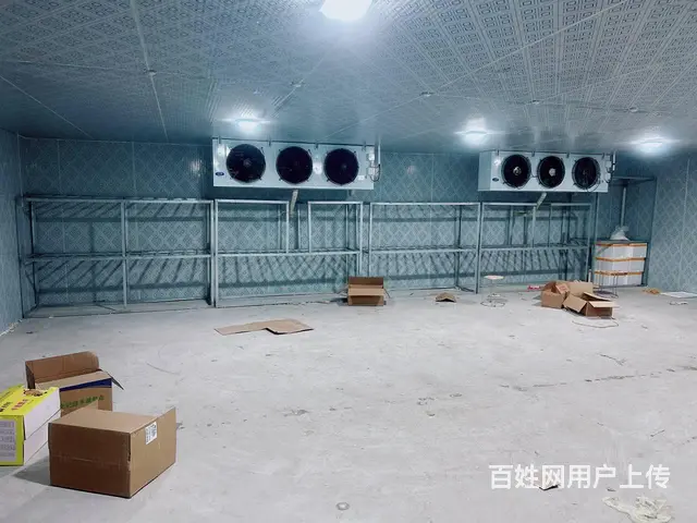 （老板本人）开福区捞刀河街道自建仓库➕冷冻库出租6856 - 图片 3