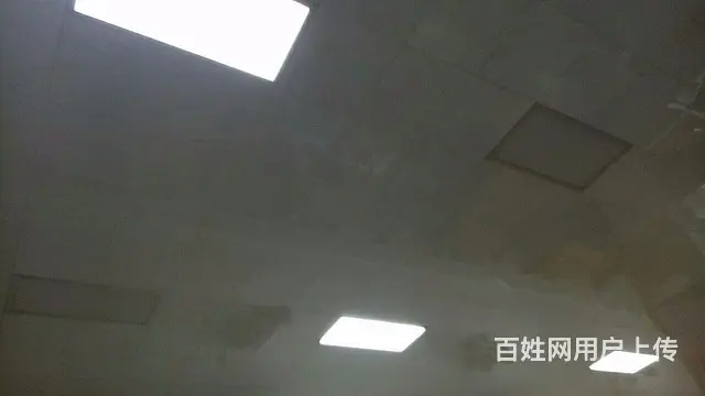 征婚 - 图片
