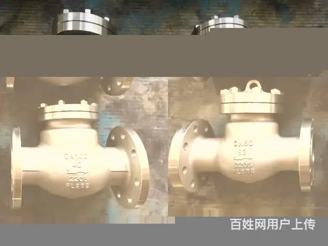 钛止回阀TA2310S材质单向阀2507旋启式止回阀H44W - 图片 1
