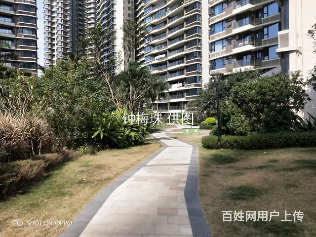 湾仔码头 华发峰景湾 精装家电齐全 非常干净 拎包入住 - 图片 12