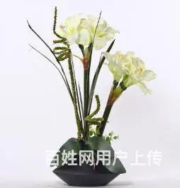 郑州博思花艺开店培训班费用 - 图片 1