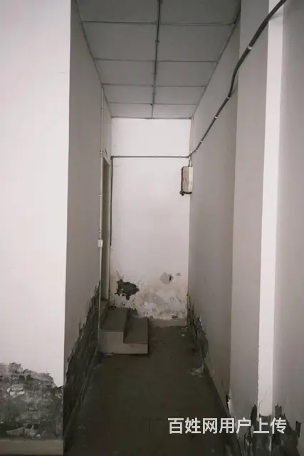 出租森林实验圣泉小学对面的门面临街，离地铁近 - 图片 4
