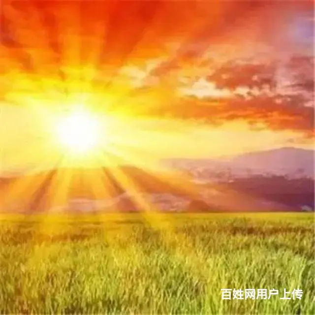 找个合适老伴 - 图片 1