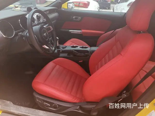 【搞定了！】福特Mustang [野马](进口) - 图片 4
