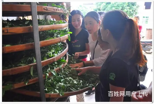 考茶艺师证在哪里报名 天晟茶艺培训学校官网 - 图片 11
