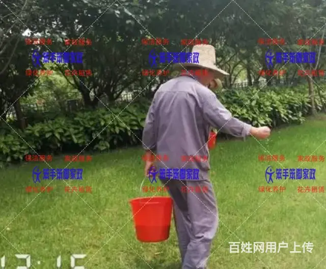 厦门物业小区绿化养护 - 图片 2