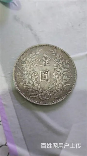 老银元 - 图片 2