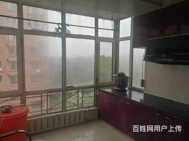 南星花园整体出租，干净整洁，可季租，月租，半年租，年租 - 图片 6