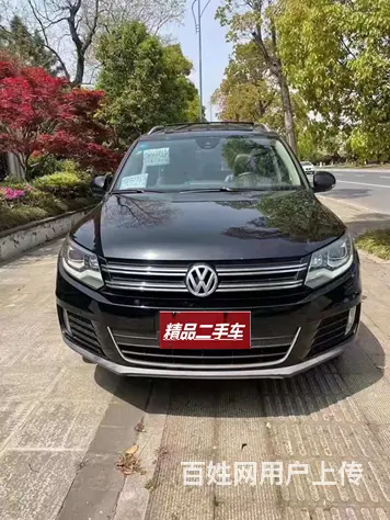 大众 途观 2013款 1.8TSI 手自一体 四驱豪华版 - 图片 1