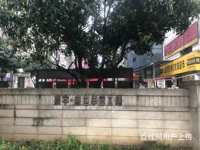 个人）商圈急转运达中央广场生鲜水果店优价转让编号1057 - 图片 8