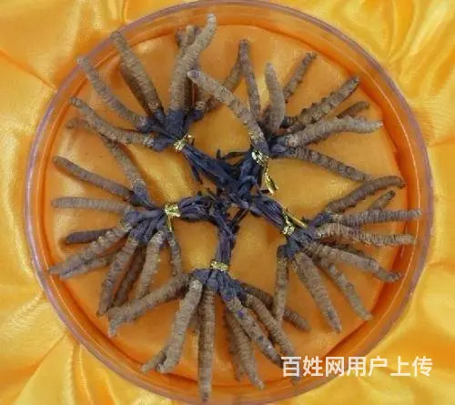 襄阳高档名酒回收襄阳高档名烟回收 高价烟酒礼品回收 - 图片 4