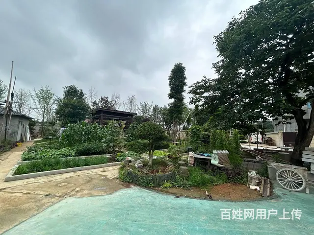 （老板本人）黄兴镇独门独院全新厂房/仓库出租 6511 - 图片 10