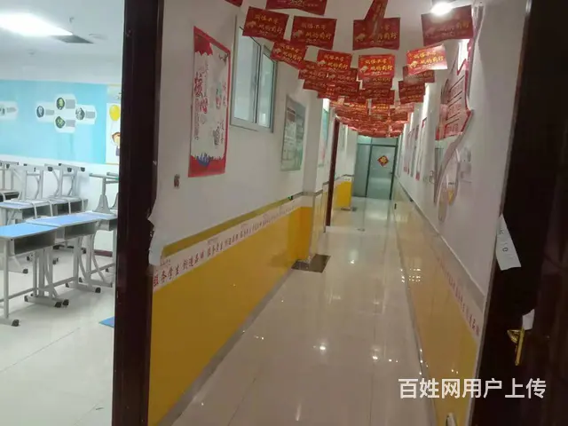 7529(七P）个人城西区海晏路2号国贸大厦5楼写字楼出租 - 图片 5