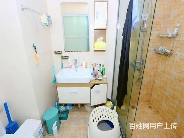 江南实验两房朝南双阳台 采光好地段繁华 诚心出售价格可谈 - 图片 10