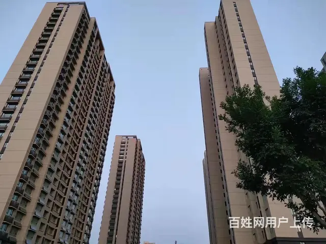 齐园小区 普通住宅 精装修 - 图片 2