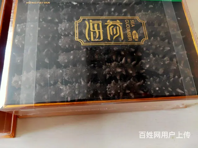 海参 - 图片 1