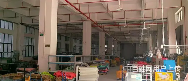 D9 I59 O5O9 6588罗山街道后林延林东路厂房 - 图片 6