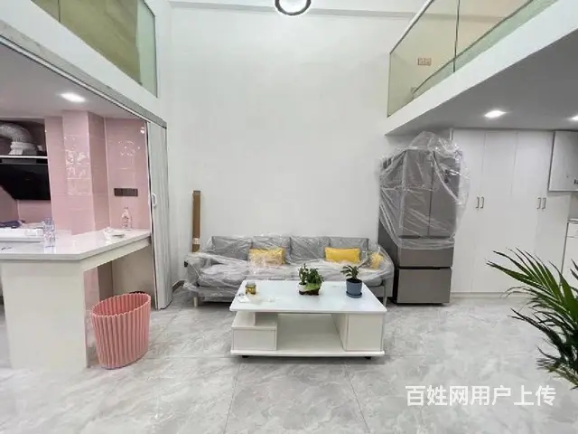 湖塘万达吾悦挑高复式 带燃气民用水电现房清盘特价找我有优惠 - 图片 3