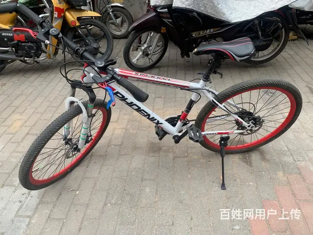 凤凰三地自行车急卖 - 图片 1