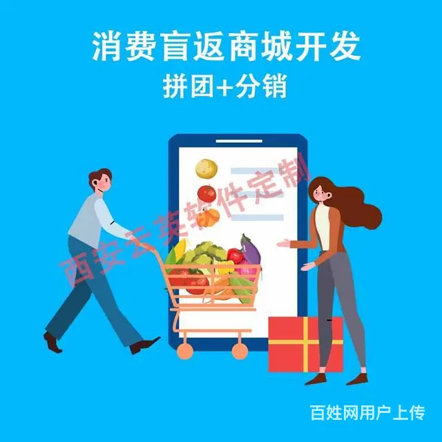 微商城代理软件app平台开发（系统软件 - 图片 4