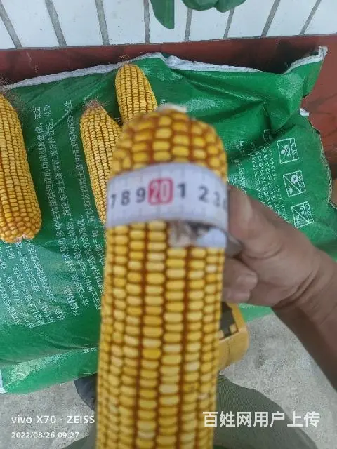 招微生物有机肥料加盟店长 - 图片 4
