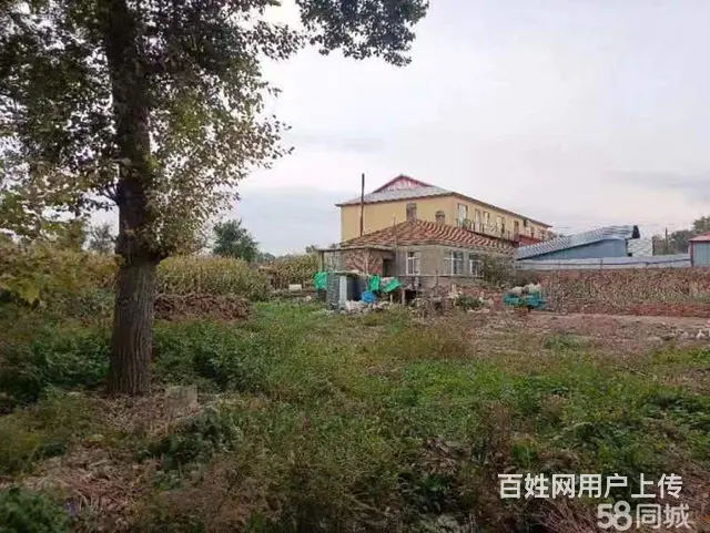 道里机场路二手车市场蒋化屯厂房出售 - 图片 3