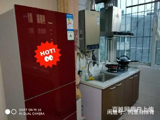 盛世新城房屋出租 - 图片 4