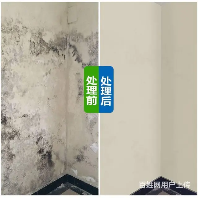 番禺石基除霉公司，广州专业墙体去霉，处理天花发霉 - 图片 6