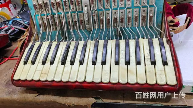 金杯手风琴维修服务，专业手风琴维修乐器维修 - 图片 4