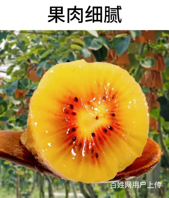 水果批 发供 应配送枇杷 哈 密瓜 西瓜 联系电话 - 图片 3