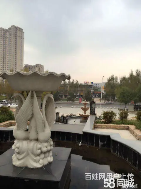 经典叠墅 赠送50平米 现房带车库 可贷款 稀缺户 - 图片 3