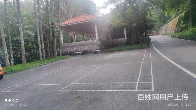 相约行白云山山上打羽毛乒乓球练太极 - 图片 5