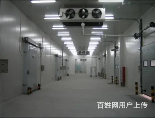 湖州蔬菜冷库的建设费用 , 湖州冷库报价方案详细表 - 图片 4