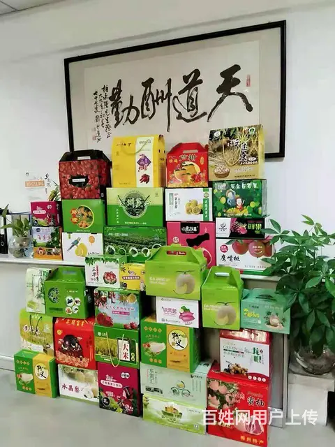 高精端商务画册彩盒手提袋印刷工厂 - 图片 7