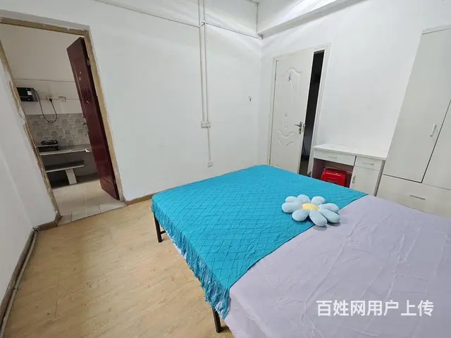 华腾园 岳家嘴地铁口附近 蓝晶绿洲附近 - 图片 4