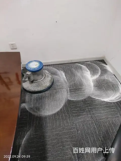 常州戚墅堰区地毯清洗公司86011404 - 图片