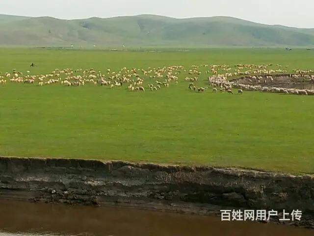 呼伦贝尔旅游包车师傅排名常师傅靠谱 - 图片 7