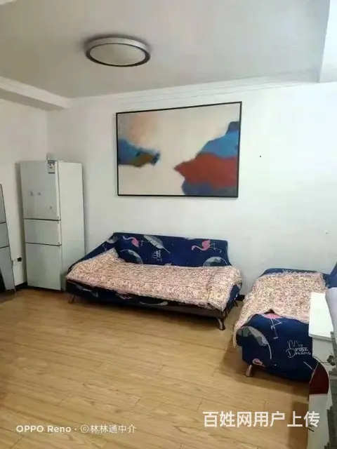 大上海广场 普通住宅1厅 中等装修 - 图片 1