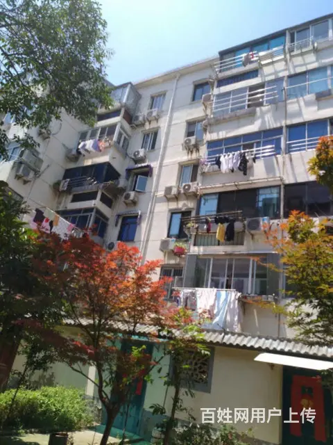 实图实价 可月付 彩香二村两房朝南四楼 桐泾北路 附二院 - 图片 11