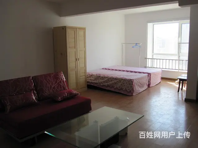 振华国际精装一室一厅南向好房出租了 - 图片 5