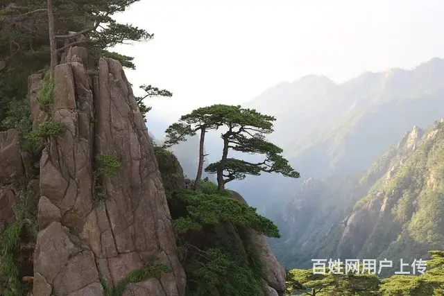 苏州无锡太仓英语日语口译金桥翻译社 - 图片