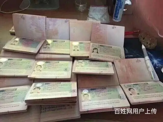 新加坡保签，澳洲欧洲常年招收普工技工 - 图片 8