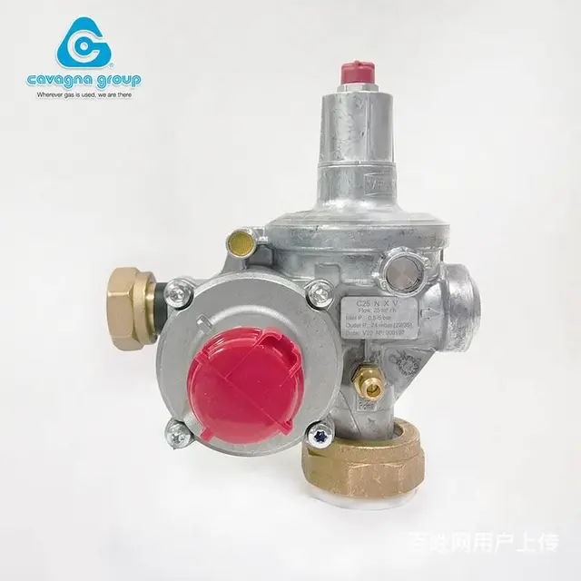 工业炉稳压阀S1卡瓦尼亚0.5-5bar燃气调压器 - 图片 2