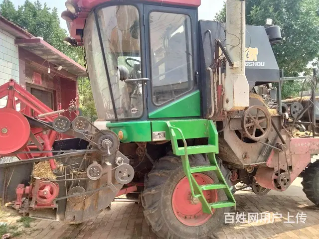 新疆6 - 图片 2