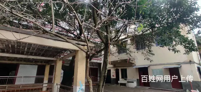 双证齐全独栋小院 - 图片 2