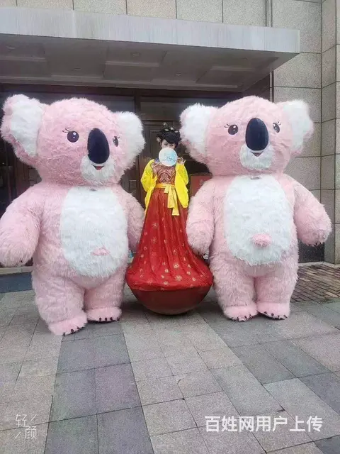 苏州无锡卡通服装出租玩偶服装租赁网红卡通道具 - 图片 3