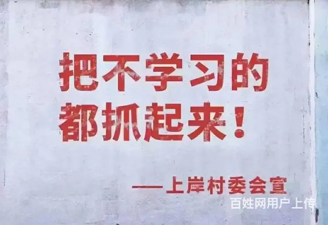暨人力经济师培训-为薪酬绩效头大吗 - 图片